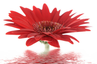 Similar image 695533