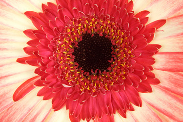 Similar image 695541