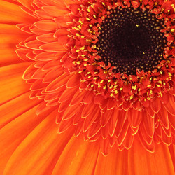 Similar image 695545