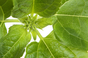 Similar image 695551