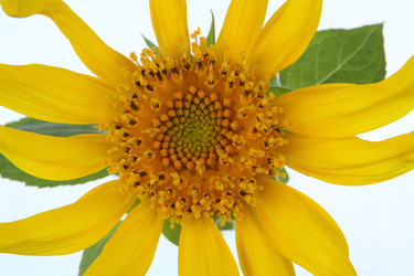 Similar image 695553