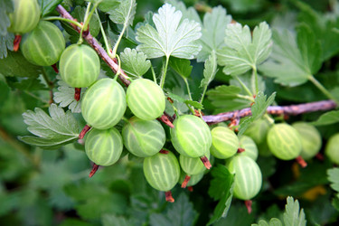 Similar image 695556