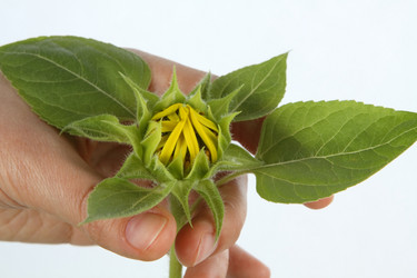 Similar image 695558