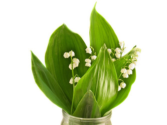 Similar image 695580