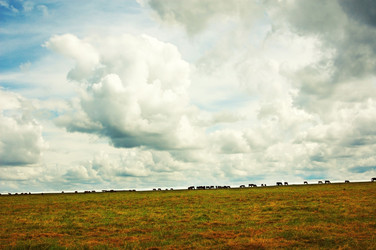 Similar image 695581