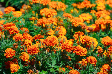 Similar image 695605