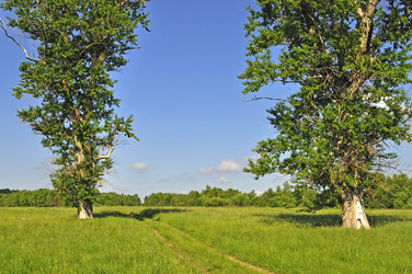 Similar image 695658