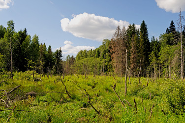 Similar image 695664