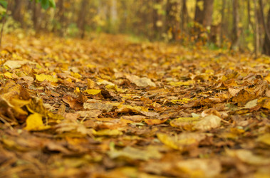 Similar image 695673