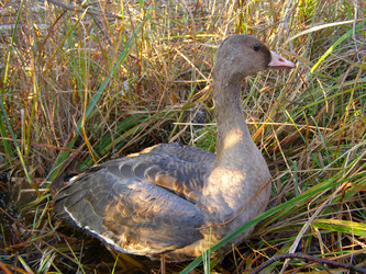 Similar image 695780