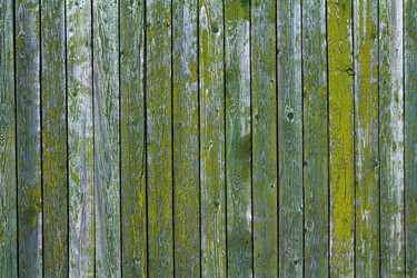 Similar image 695787