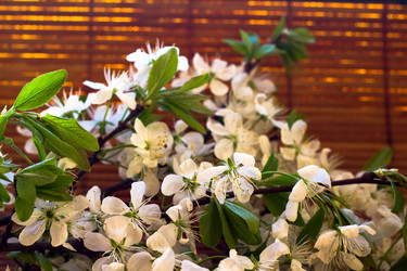 Similar image 695789