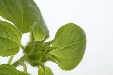 Similar image 695809