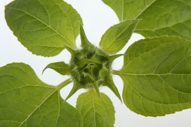 Similar image 695810