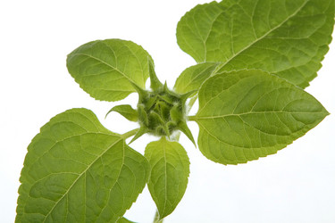 Similar image 695813