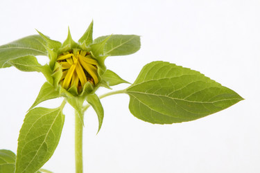 Similar image 695814