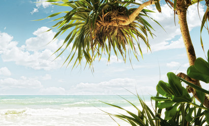 Similar image 695888