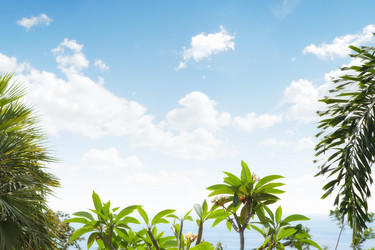 Similar image 695889