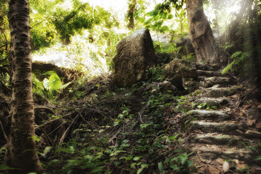 Similar image 695892