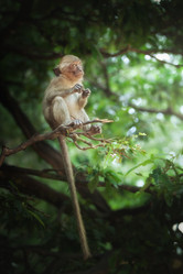 Similar image 695895