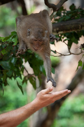 Similar image 695897