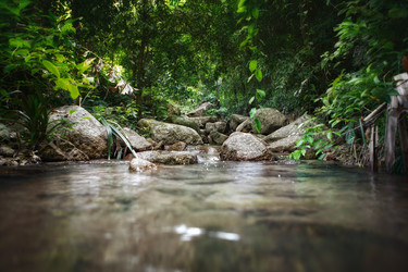 Similar image 695900