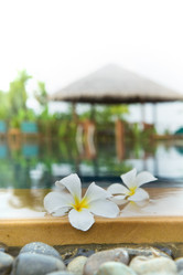 Similar image 695901