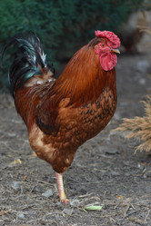 Similar image 695926