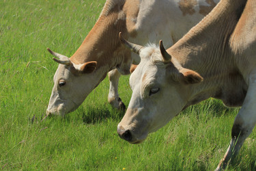 Similar image 695947