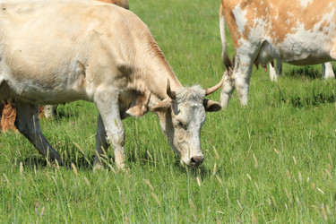 Similar image 695948