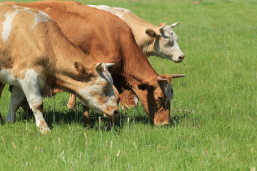 Similar image 695953