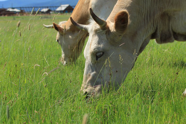 Similar image 695958