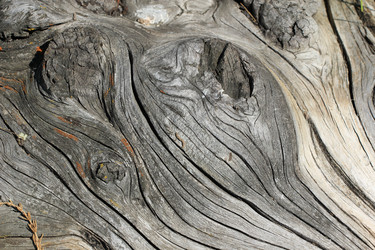 Similar image 695963