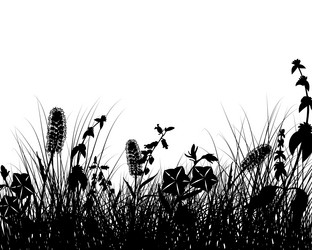 Similar image 695980