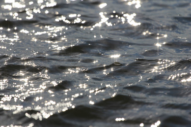 Similar image 696089