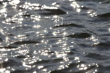 Similar image 696091