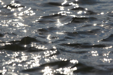 Similar image 696094