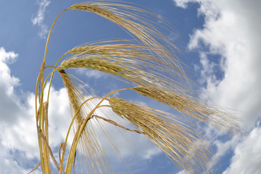 Similar image 696133