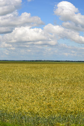 Similar image 696141