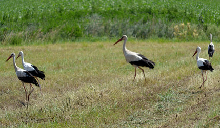 Similar image 696143