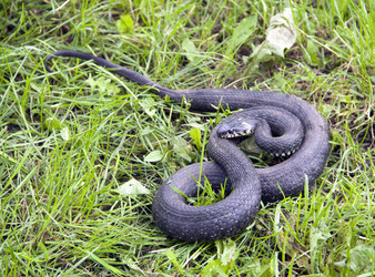 Similar image 696171