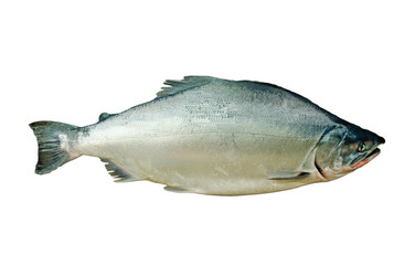 Similar image 696206