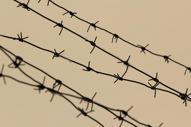 Similar image 696239