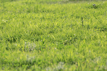 Similar image 696262