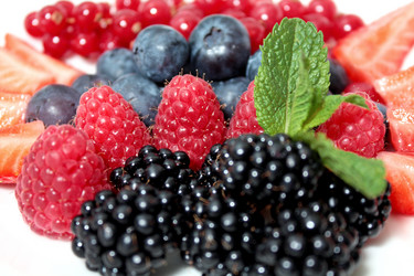 Similar image 696282