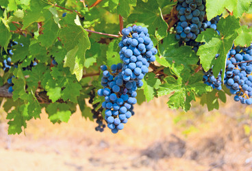 Similar image 696299