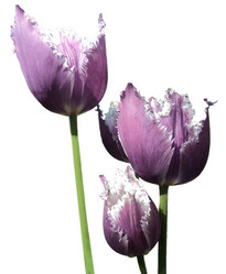 Similar image 696347