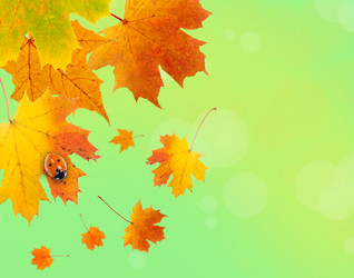 Similar image 696380