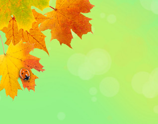 Similar image 696381