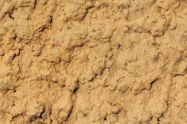 Similar image 696407